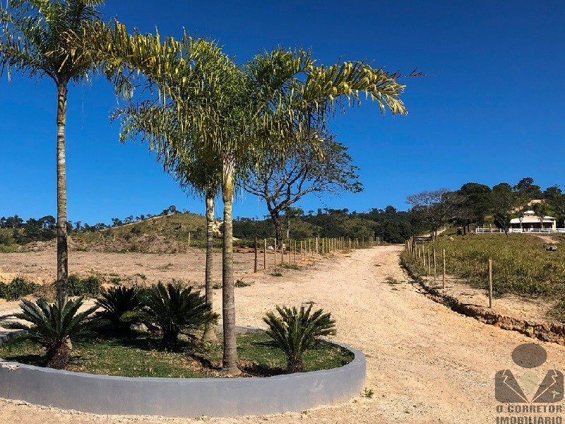 Chácara, 3 hectares - Foto 4
