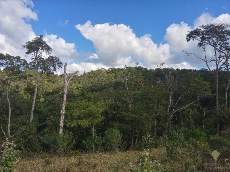 Chácara à venda, 20000m² - Foto 3