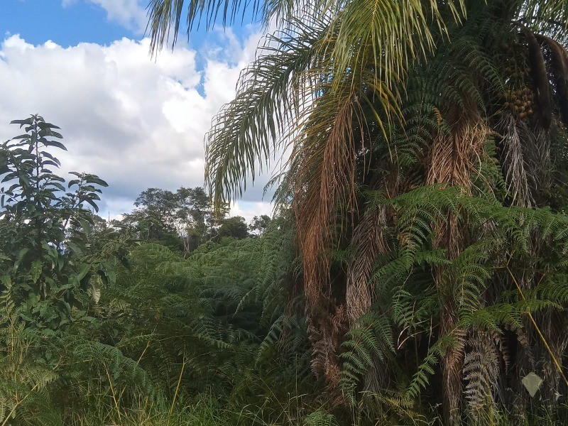 Chácara à venda, 20000m² - Foto 9