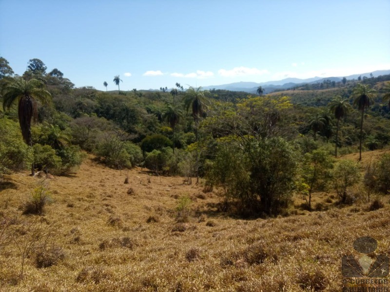 Chácara à venda, 20000m² - Foto 60