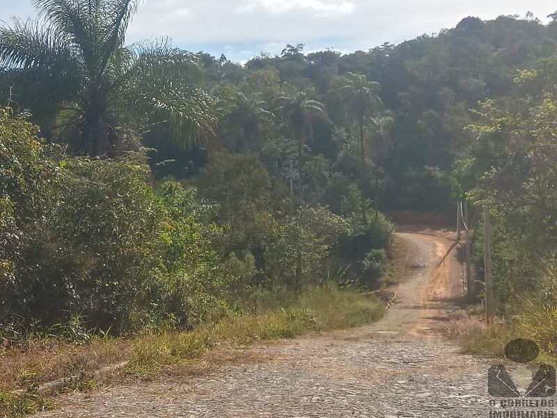 Chácara, 2 hectares - Foto 4