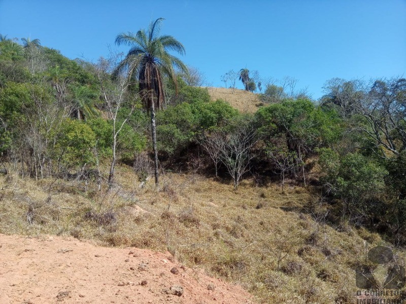 Chácara à venda, 20000m² - Foto 58