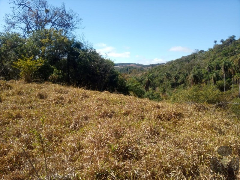 Chácara à venda, 20000m² - Foto 57