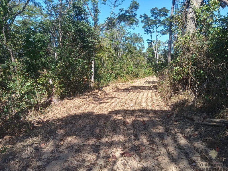 Chácara à venda, 20000m² - Foto 21