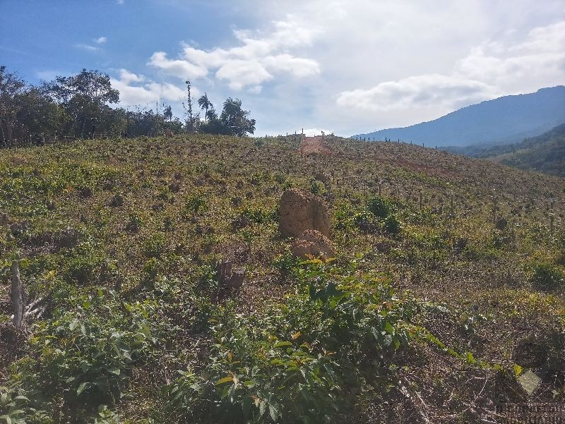 Chácara à venda, 20000m² - Foto 4