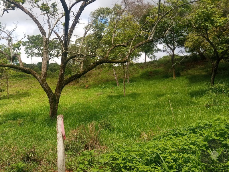 Chácara à venda, 20000m² - Foto 2