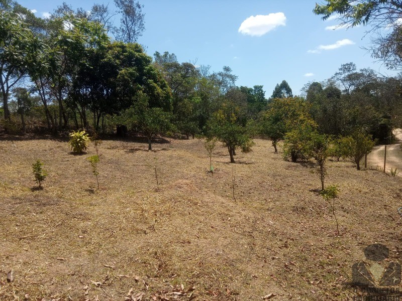 Fazenda à venda com 5 quartos, 35000m² - Foto 19