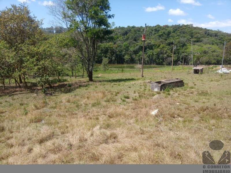 Fazenda à venda com 5 quartos, 35000m² - Foto 24