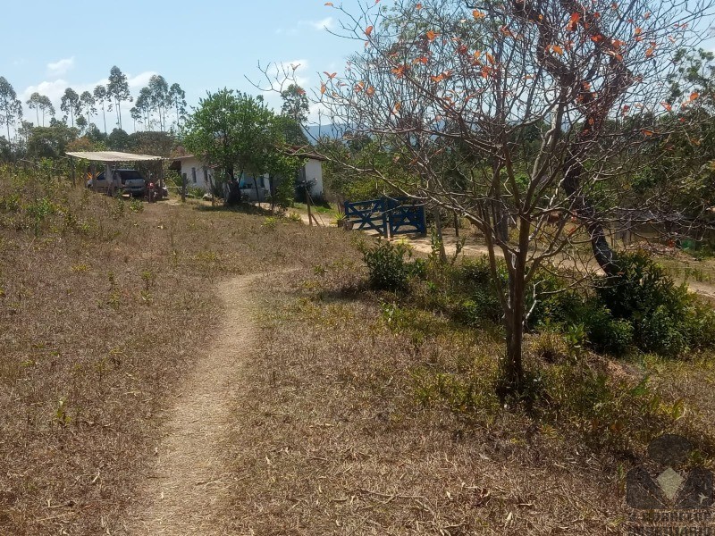 Fazenda à venda com 5 quartos, 35000m² - Foto 21