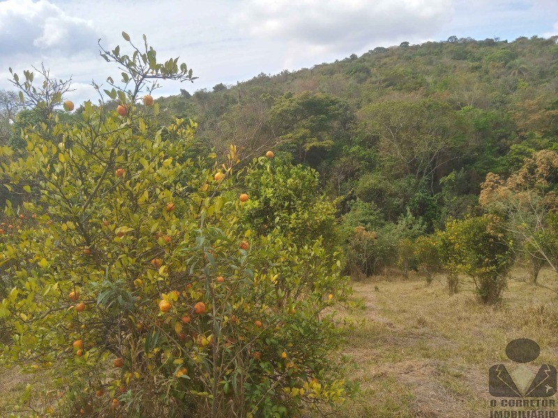 Chácara à venda, 1000m² - Foto 13