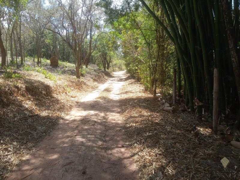 Fazenda à venda com 5 quartos, 35000m² - Foto 22