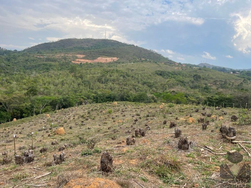 Chácara à venda, 6700m² - Foto 6