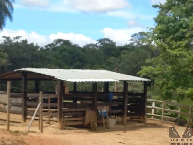 Fazenda à venda com 3 quartos, 33900m² - Foto 10