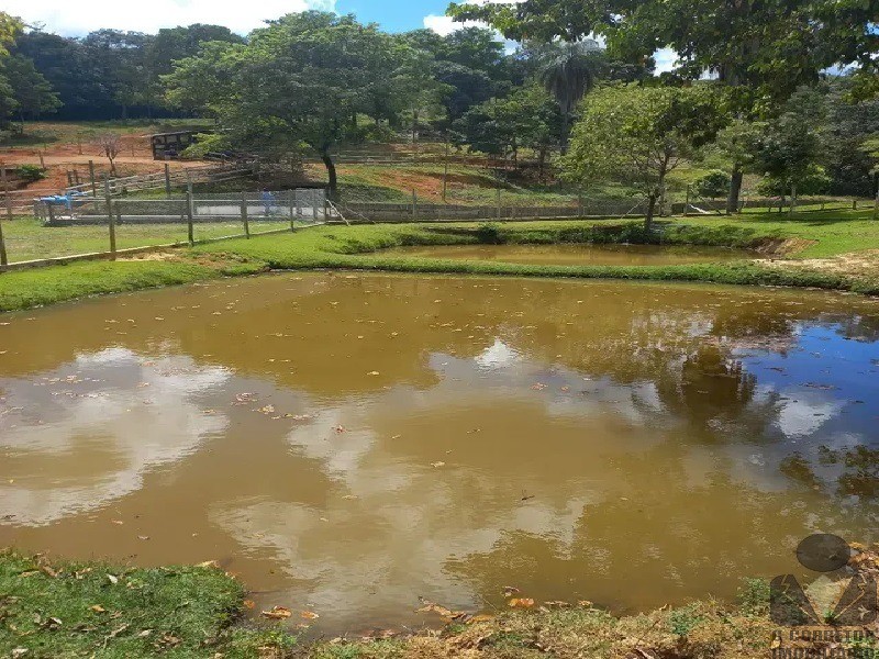 Fazenda à venda com 3 quartos, 33900m² - Foto 2