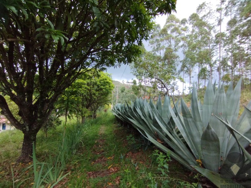 Fazenda à venda com 3 quartos, 32000m² - Foto 25