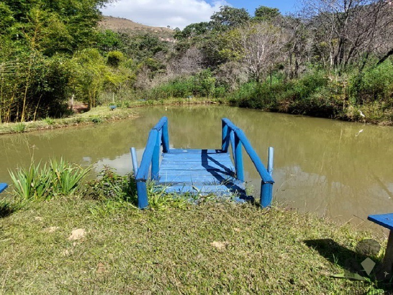 Fazenda à venda com 3 quartos, 32000m² - Foto 32