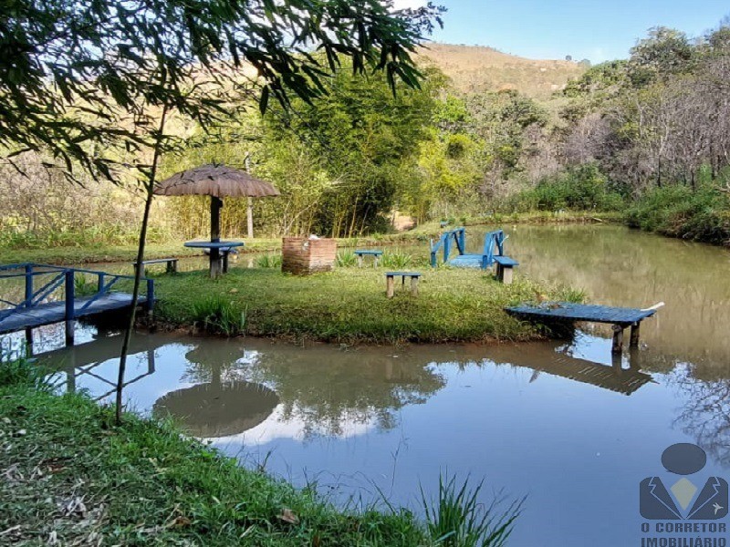 Fazenda à venda com 3 quartos, 32000m² - Foto 31