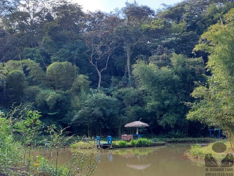 Fazenda à venda com 3 quartos, 32000m² - Foto 30