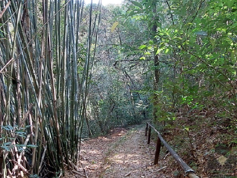 Fazenda à venda com 3 quartos, 32000m² - Foto 26