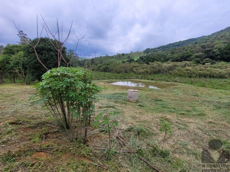 Fazenda à venda com 2 quartos, 8000m² - Foto 5