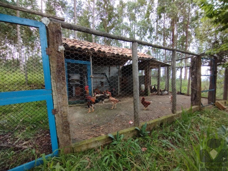 Fazenda à venda com 3 quartos, 32000m² - Foto 22