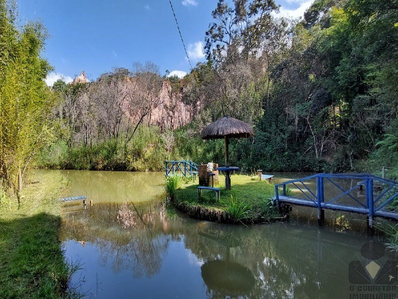 Fazenda à venda com 3 quartos, 32000m² - Foto 33