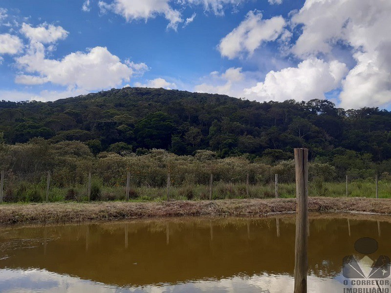 Fazenda à venda com 2 quartos, 8000m² - Foto 4