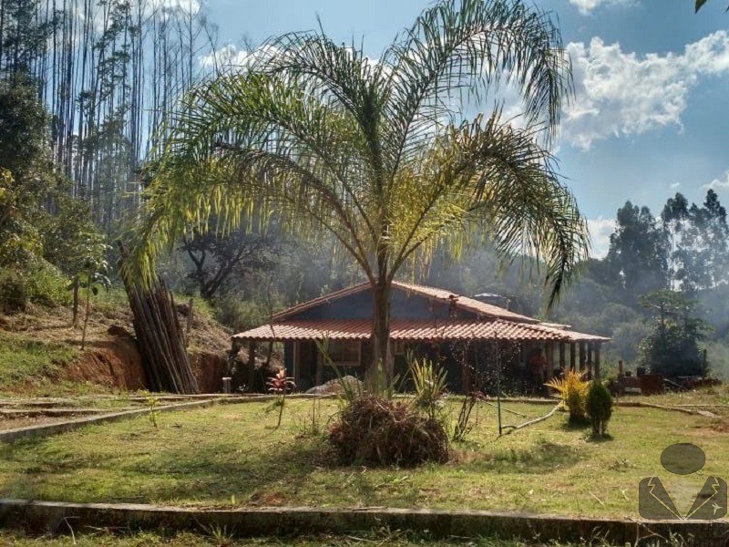 Fazenda à venda com 2 quartos, 8000m² - Foto 3