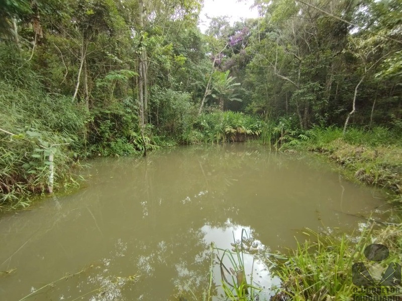 Fazenda à venda com 3 quartos, 121000m² - Foto 36