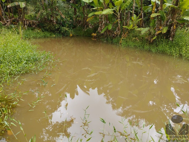 Fazenda à venda com 3 quartos, 121000m² - Foto 37