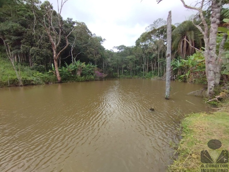 Fazenda à venda com 3 quartos, 121000m² - Foto 34