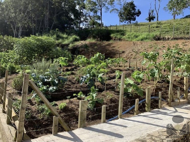 Fazenda à venda com 3 quartos, 121000m² - Foto 27