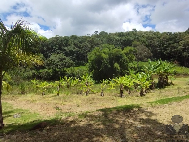 Fazenda à venda com 3 quartos, 121000m² - Foto 28