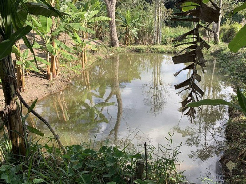 Fazenda à venda com 3 quartos, 121000m² - Foto 35