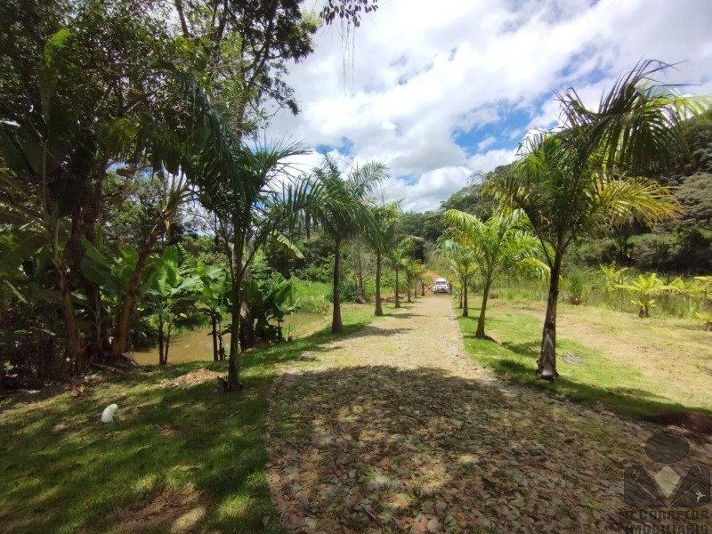 Fazenda à venda com 3 quartos, 121000m² - Foto 4