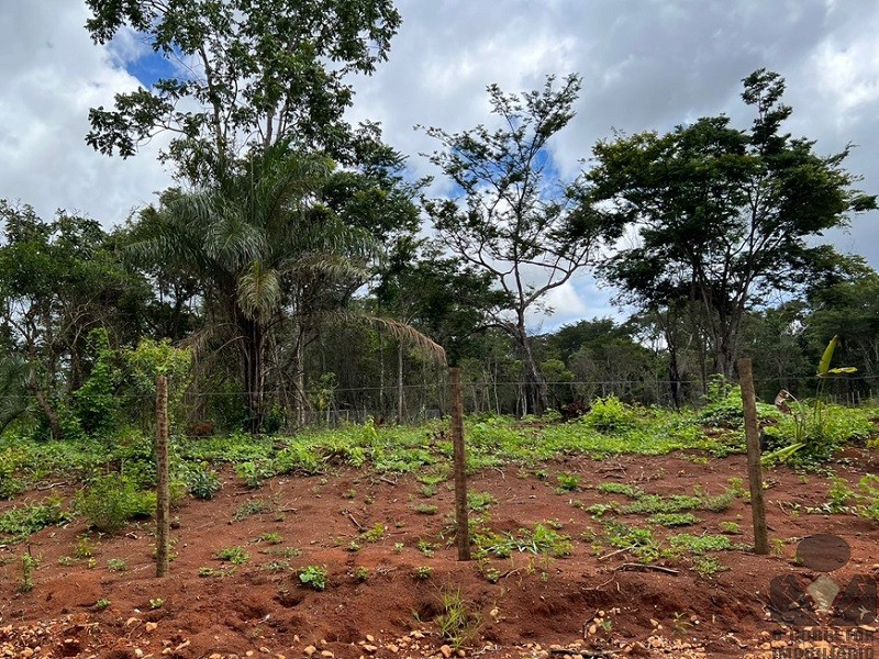 Chácara à venda, 20000m² - Foto 11