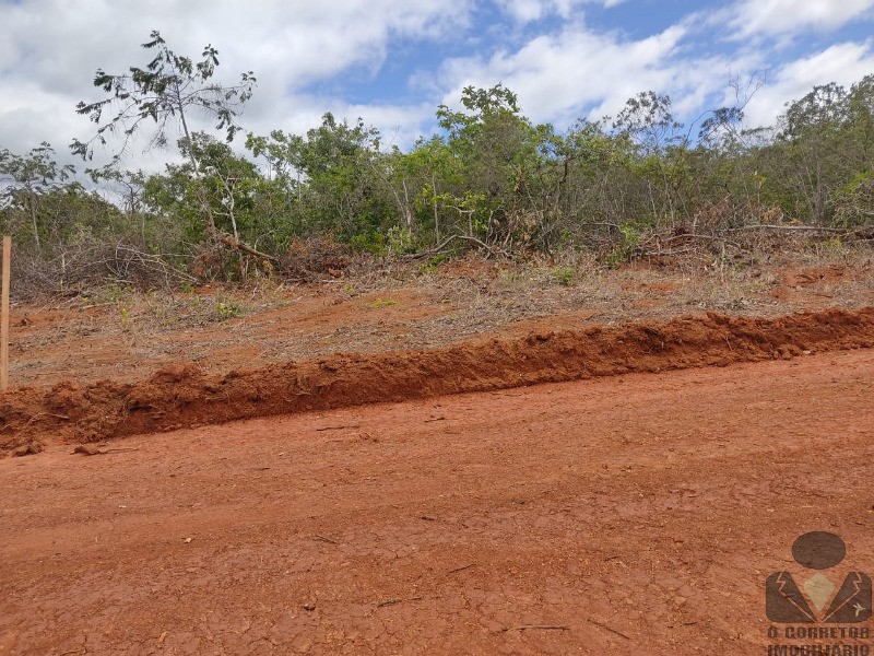 Chácara à venda, 20000m² - Foto 7