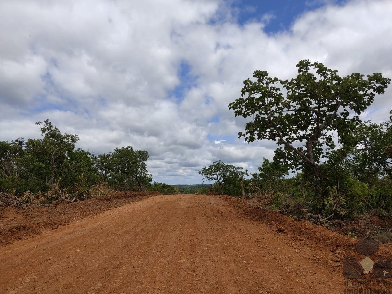 Chácara à venda, 20000m² - Foto 12