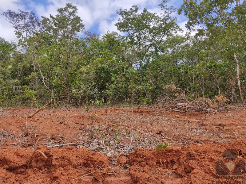 Chácara à venda, 20000m² - Foto 10