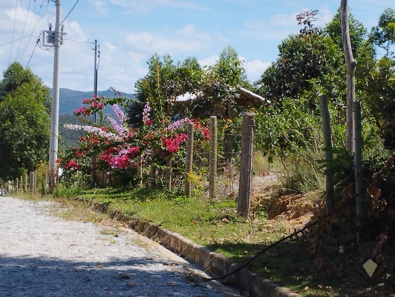 Chácara à venda, 20000m² - Foto 9