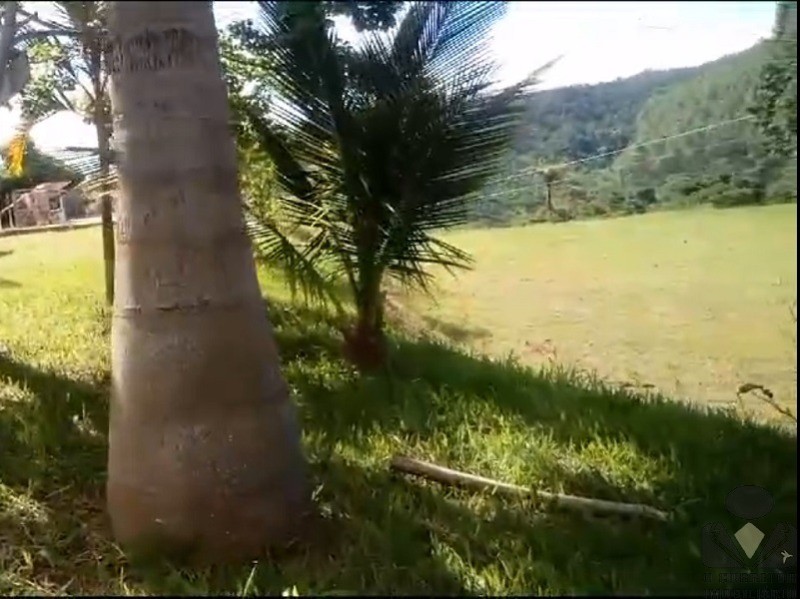 Fazenda, 2 hectares - Foto 3
