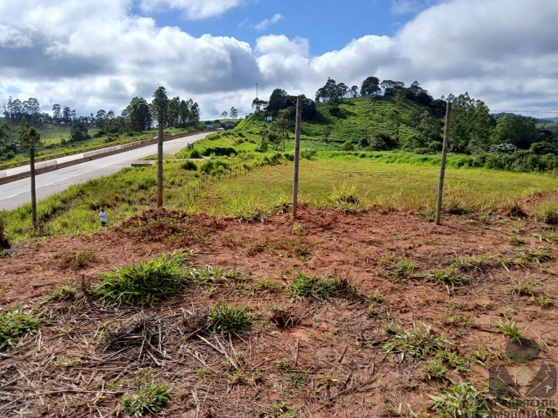 Terreno, 12 hectares - Foto 8