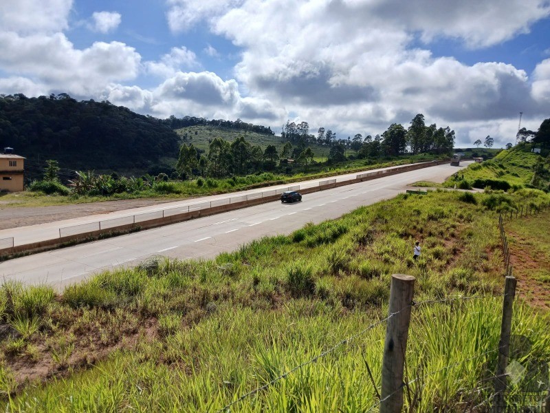 Terreno, 12 hectares - Foto 6