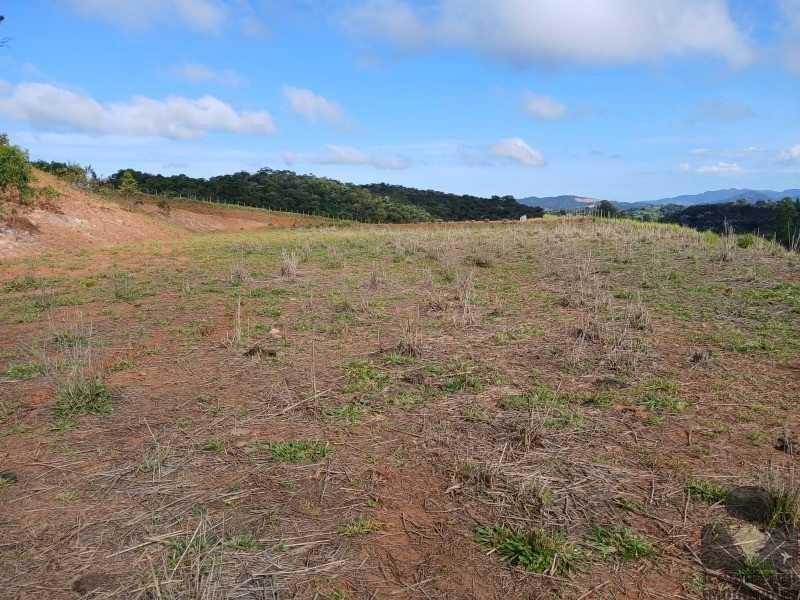 Terreno, 12 hectares - Foto 16