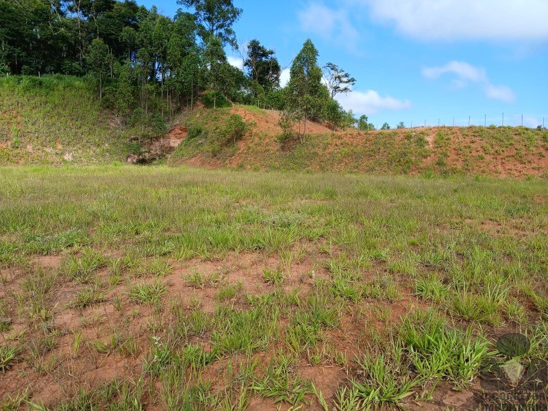 Terreno, 12 hectares - Foto 11