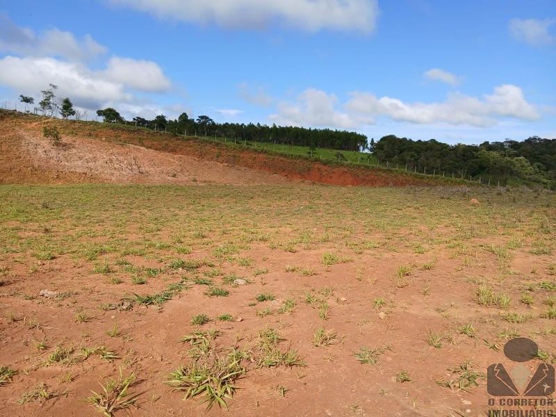 Terreno, 12 hectares - Foto 7