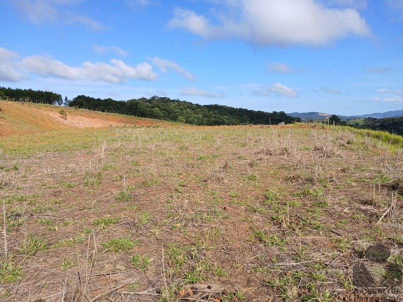Terreno, 12 hectares - Foto 12