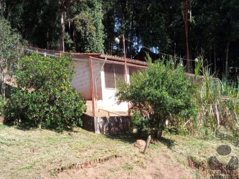 Fazenda, 2 hectares - Foto 31