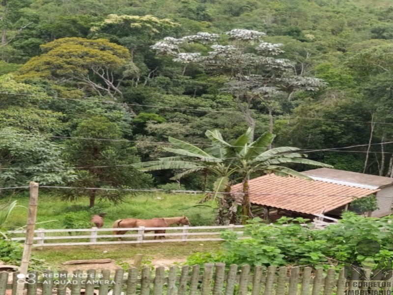 Fazenda, 2 hectares - Foto 35