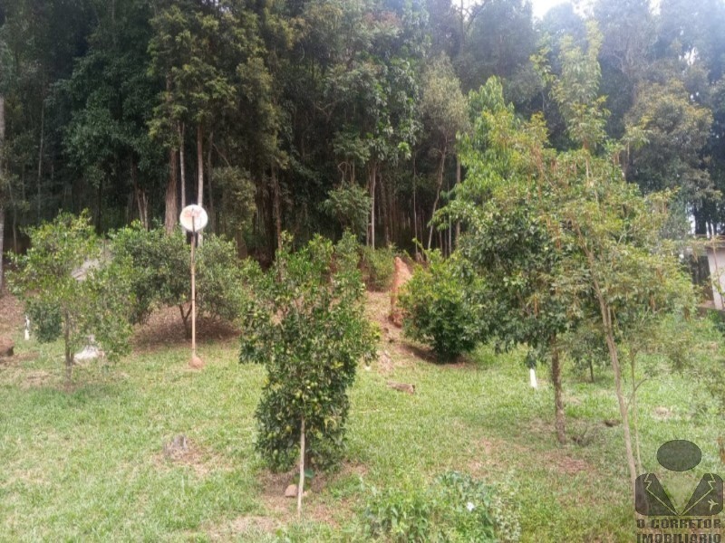 Fazenda, 2 hectares - Foto 25